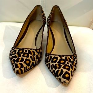 Ann Taylor Leopard Pumps